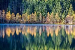 Carta da Parati Flora e Fauna Paesaggi e Natura Alberi Fiumi Cascate Laghi