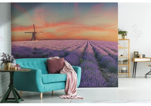 Wallpaper blooming meadow windmill landscape