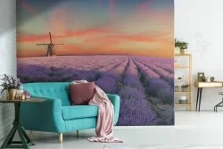 Wallpaper blooming meadow windmill landscape