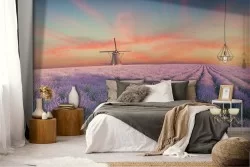 Wallpaper blooming meadow windmill landscape