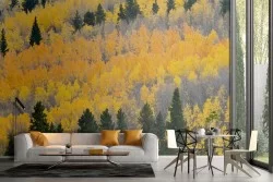 Carta da Parati paesaggio bosco alberi natura autunno