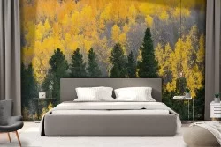 Carta da Parati paesaggio bosco alberi natura autunno