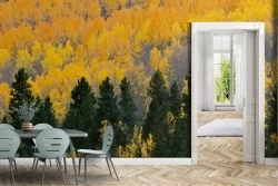 Carta da Parati Foreste e Alberi