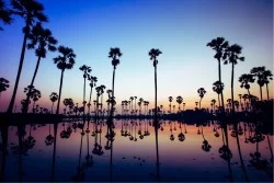 Wallpaper Landscapes and Nature Rivers Waterfalls Lakes Tropical