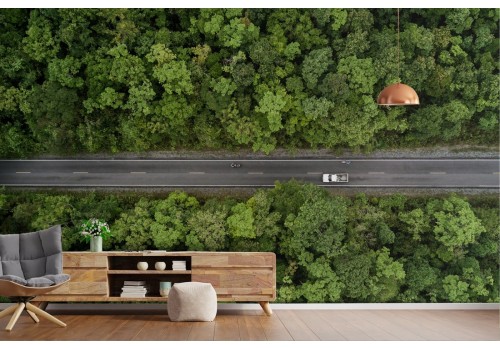 Wallpaper landscape road in the woods