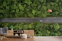 Wallpaper landscape road in the woods