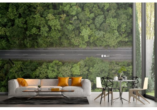 Wallpaper landscape road in the woods 2