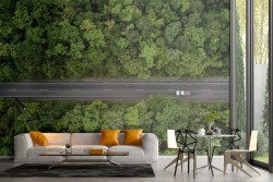 Wallpaper landscape road in the woods