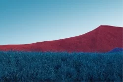 Carta da Parati Paesaggi e Natura Montagna