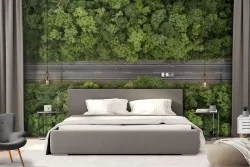 Wallpaper Forests and Trees Means of Transportation