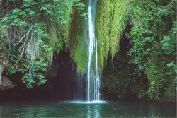 Carta da Parati Paesaggi e Natura Fiumi Cascate Laghi Tropicale