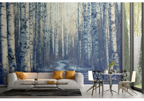 Wallpaper tree-lined avenue forest nature landscape