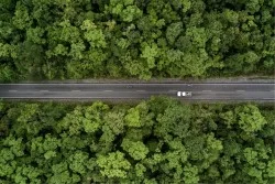 Carta da Parati Mappe Città Trasporti Paesaggi e Natura Foreste e Alberi Mezzi di trasporto