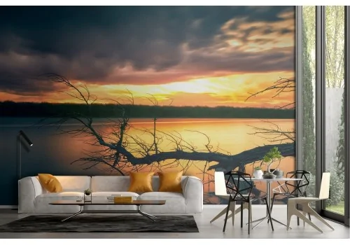 Wallpaper landscape lake sunset forest