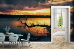 Wallpaper Rivers Waterfalls Lakes Forests and Trees
