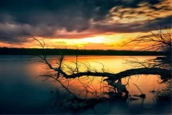 Wallpaper Landscapes and Nature Rivers Waterfalls Lakes Forests and Trees