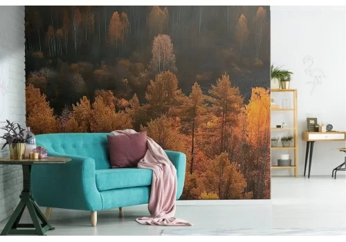 Carta da Parati foresta alberi in autunno paesaggio