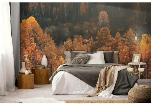 Wallpaper forest trees in autumn landscape 2