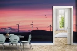 Carta da Parati Alba Tramonto Cielo Spiaggia e Mare