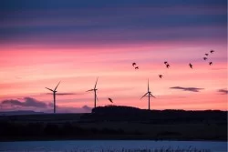 Carta da Parati Paesaggi e Natura Alba Tramonto Cielo Spiaggia e Mare