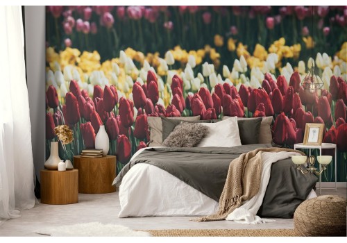 Flower field wallpaper landscape photography 2