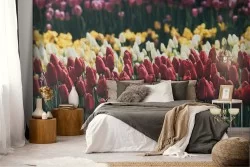 Flower field wallpaper landscape photography