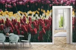 Wallpaper Flowers Gardens Meadows and Hills