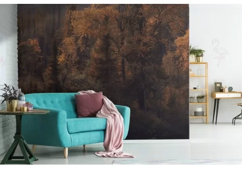 Carta da Parati fiume nel bosco autunno paesaggio