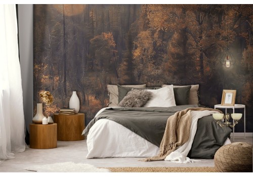 Wallpaper river in the forest autumn landscape 2