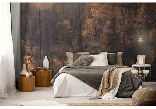 Wallpaper river in the forest autumn landscape 2