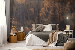 Wallpaper river in the forest autumn landscape