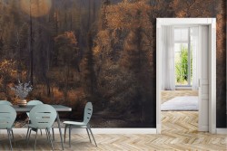 Wallpaper Rivers Waterfalls Lakes Forests and Trees