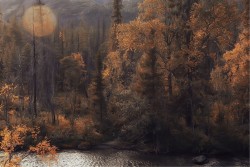 Wallpaper Flora and Fauna Landscapes and Nature Rivers Waterfalls Lakes Forests and Trees