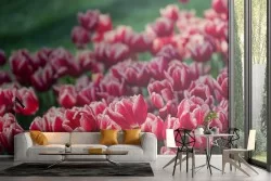 Carta da Parati fiori tulipani rossi giardino natura