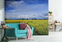 Carta da Parati paesaggio campo fiorito collina