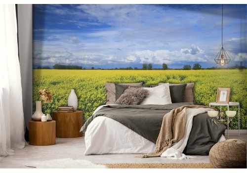 Wallpaper landscape blooming field hill 2