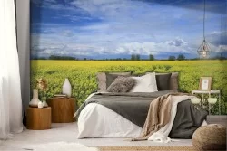 Wallpaper landscape blooming field hill