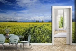 Carta da Parati Foglie e Fiori Prati e colline