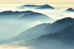 Carta da Parati Flora e Fauna Paesaggi e Natura Alberi Foreste e Alberi Montagna