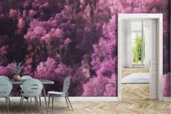 Wallpaper of Fantasy Trees and Dark Forests and Trees