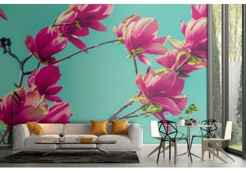 Carta da Parati fiori rosa natura fotografia