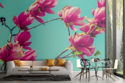 Carta da Parati fiori rosa natura fotografia