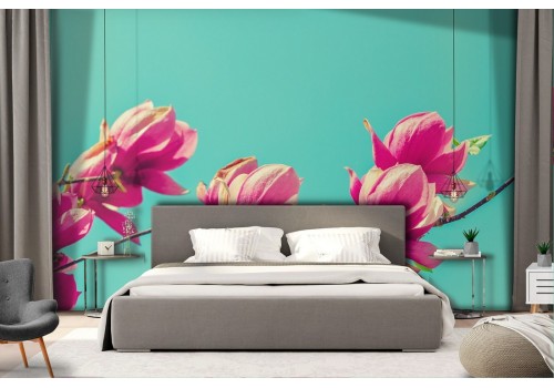 Pink flowers nature photography wallpaper 2