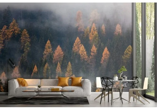 Wallpaper forest trees autumn landscape nature