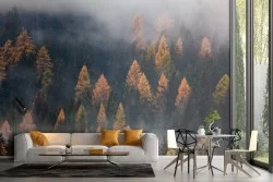 Carta da Parati bosco alberi autunno paesaggio natura