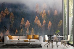 Wallpaper forest trees autumn landscape nature