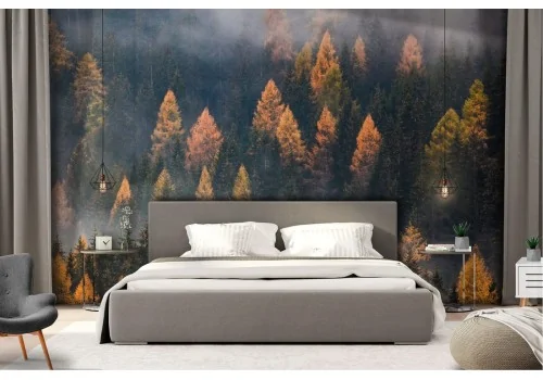 Wallpaper forest trees autumn landscape nature 2