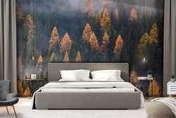 Wallpaper forest trees autumn landscape nature