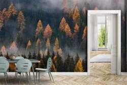 Carta da Parati Alberi Foreste e Alberi