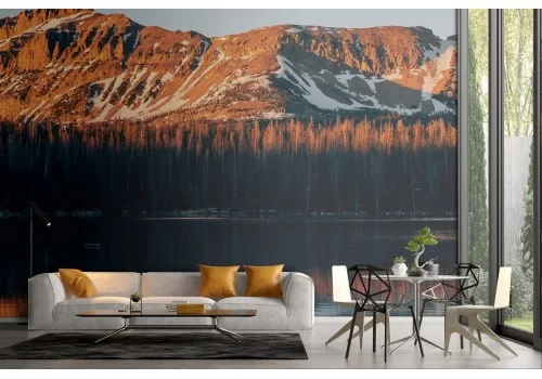 Carta da Parati foresta in montagna alberi paesaggio